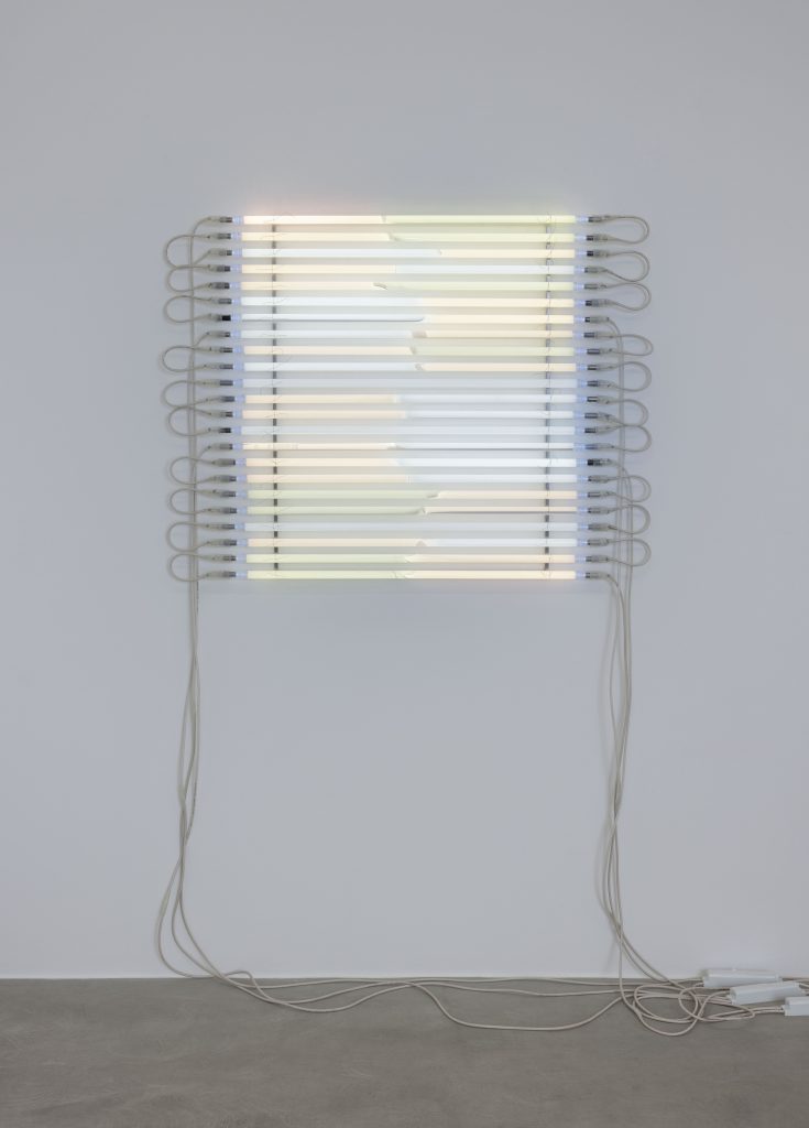 <i>Tapetum Lucidum (15 000V)</I>, 2025
</br>
neon lights, 15,000 volts, aluminium
</br>
91 x 120 cm / 35.8 x 47.2 in>