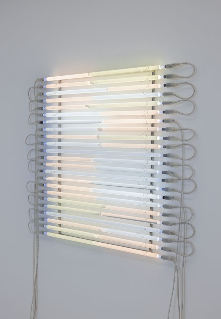 <i>Tapetum Lucidum (15 000V)</I>, 2025
</br>(detail)>