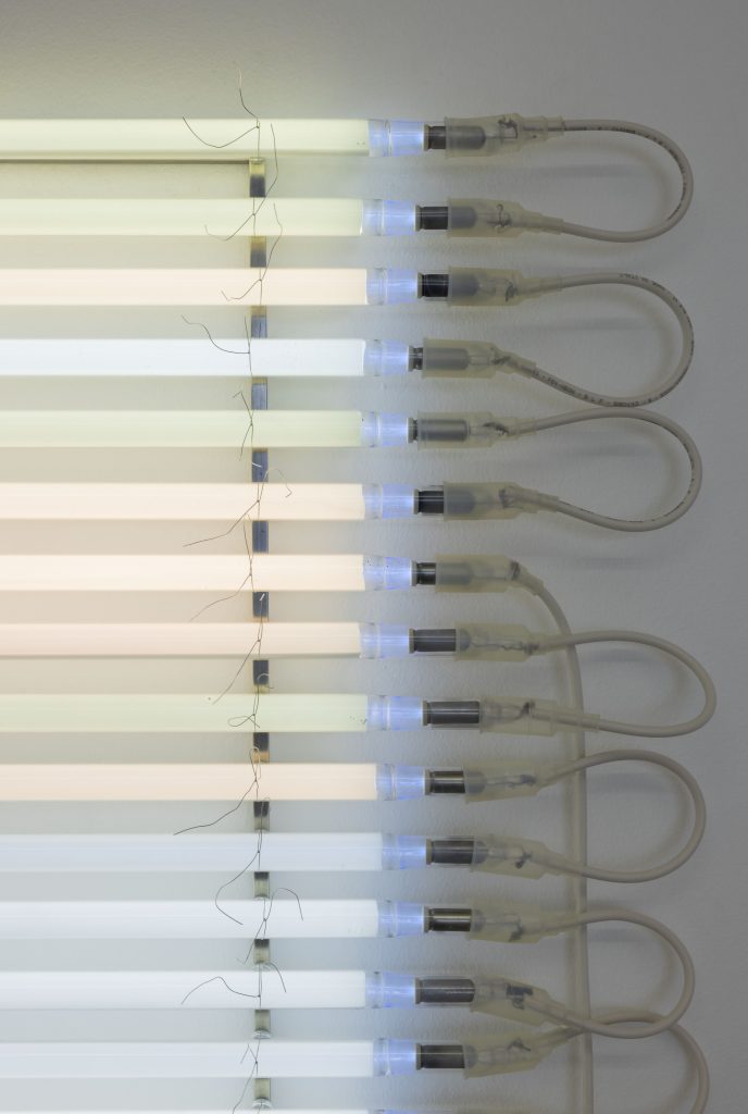 <i>Tapetum Lucidum (15 000V)</I>, 2025
</br>(detail)>