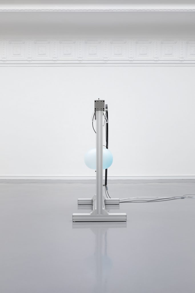<i>Muscle Memory</I>, 2019
</br>
installation view, Staatliche Kunsthalle Baden-Baden, Baden-Baden>