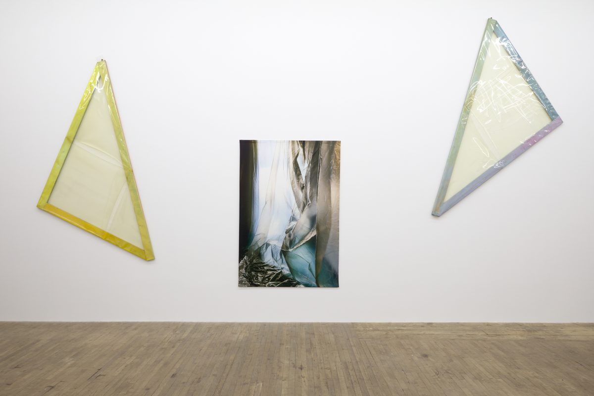 Carla Accardi, Elisa Sighicelli, 2020
</br>
installation view, 55 walker, new york