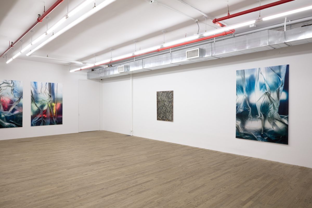 Carla Accardi, Elisa Sighicelli, 2020
</br>
installation view, 55 walker, new york
