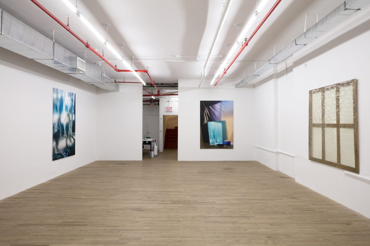 Carla Accardi, Elisa Sighicelli, 2020
</br>
installation view, 55 walker, new york