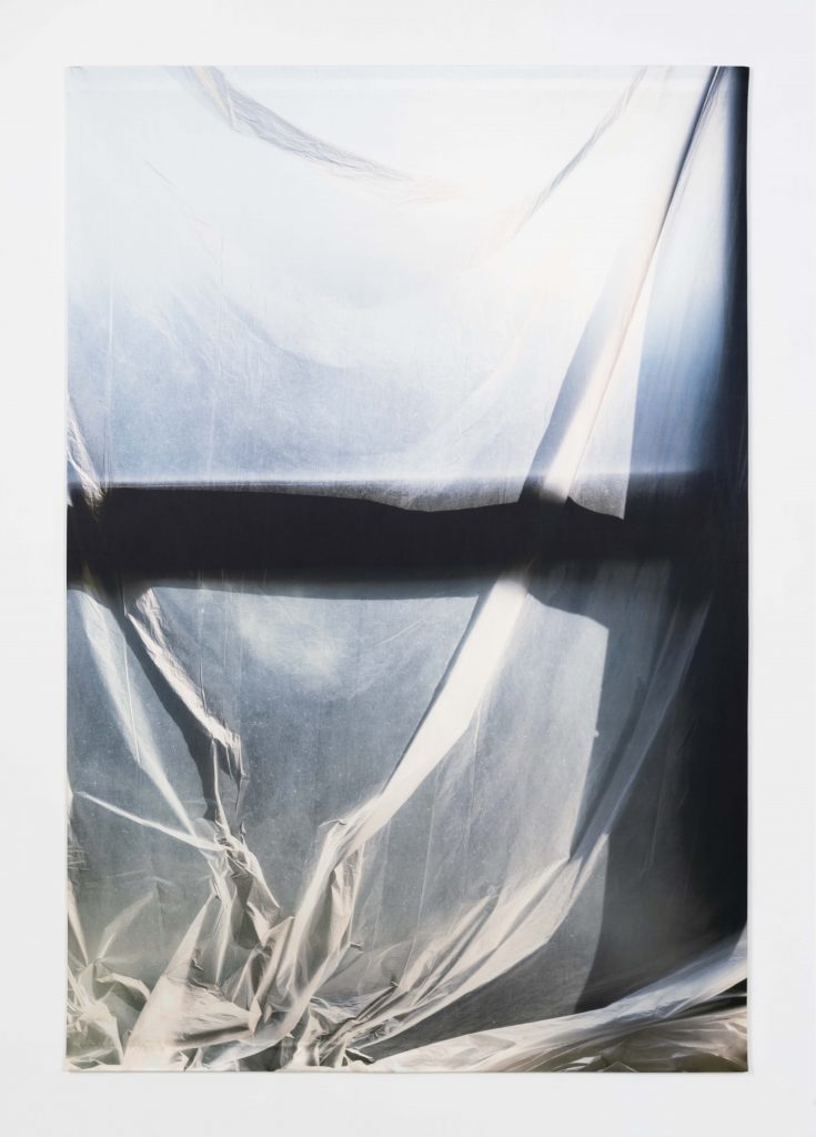 Elisa Sighicelli, <I>untitled (1138)</I>, 2020
</br>
photograph printed on satin, 199 x 137 cm / 78.3 x 53.9 in