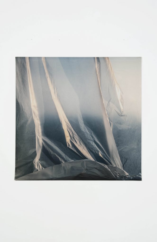 Elisa Sighicelli, <I>untitled (1151)</I>, 2020
</br>
photograph printed on satin, 134 x 137 cm / 52.8 x 53.9 in