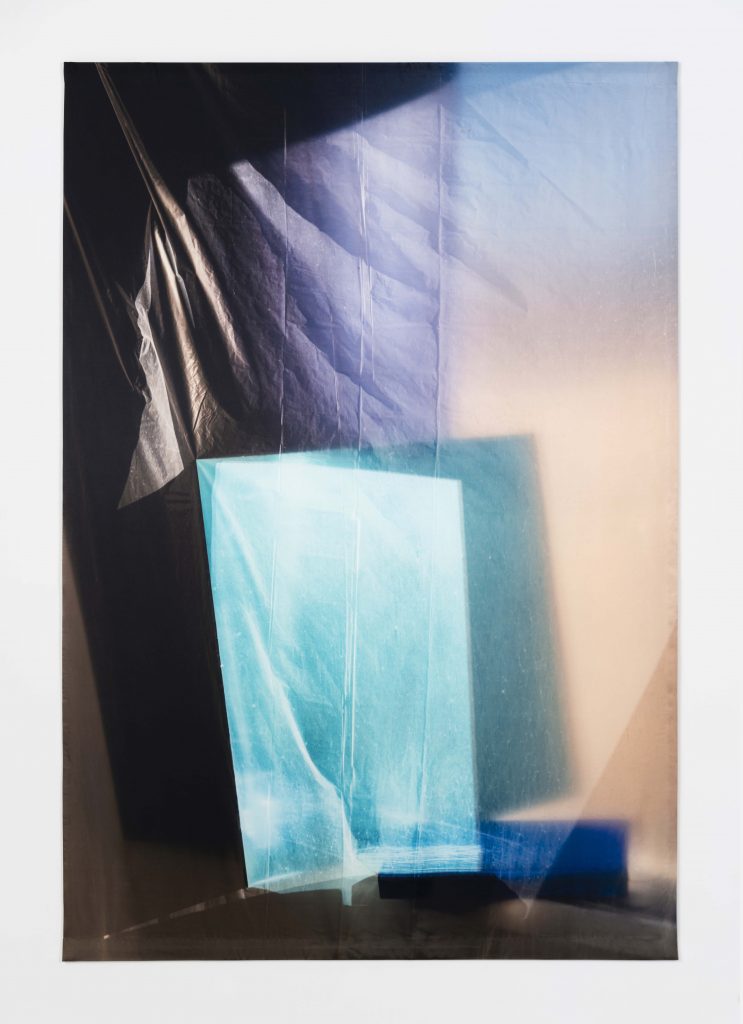 Elisa Sighicelli, <I>untitled (1615)</I>, 2020
</br>
photograph printed on satin, 197 x 136 cm / 77.6 x 53.5 in