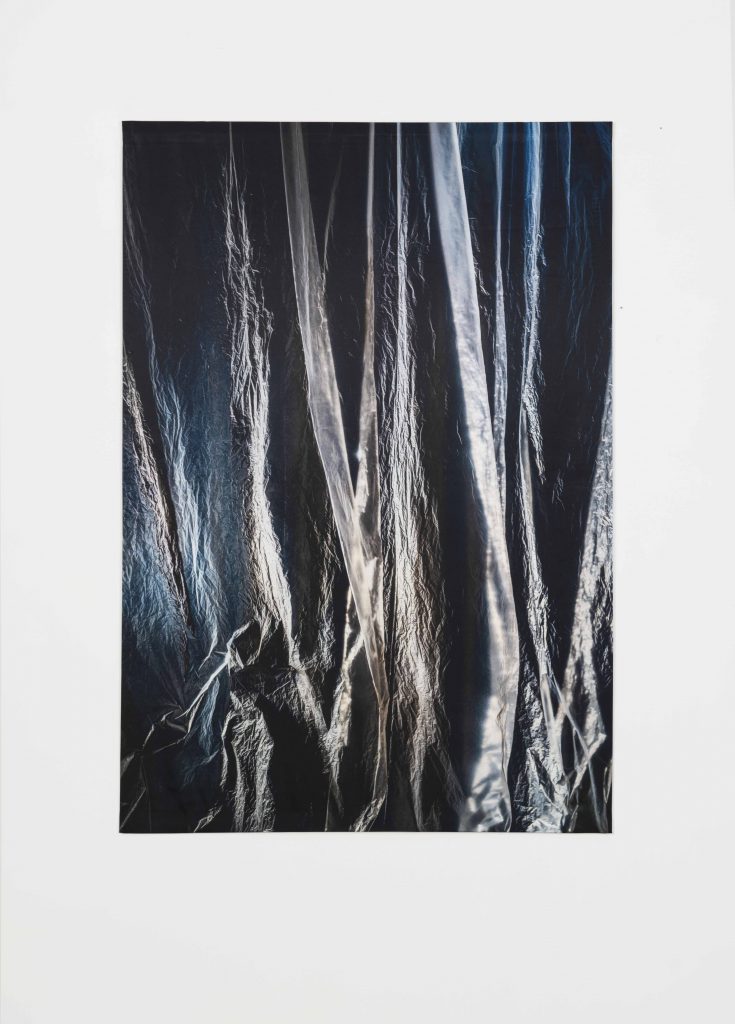 Elisa Sighicelli, <I>untitled (3183)</I>, 2020
</br>
photograph printed on satin, 156 x 107 cm / 61.4 x 42.1 in
