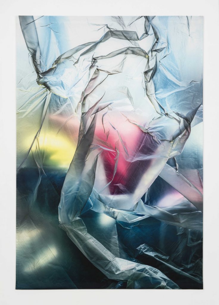 Elisa Sighicelli, <I>untitled (3327)</I>, 2020
</br>
photograph printed on satin, 199 x 137 cm / 78.3 x 53.9 in