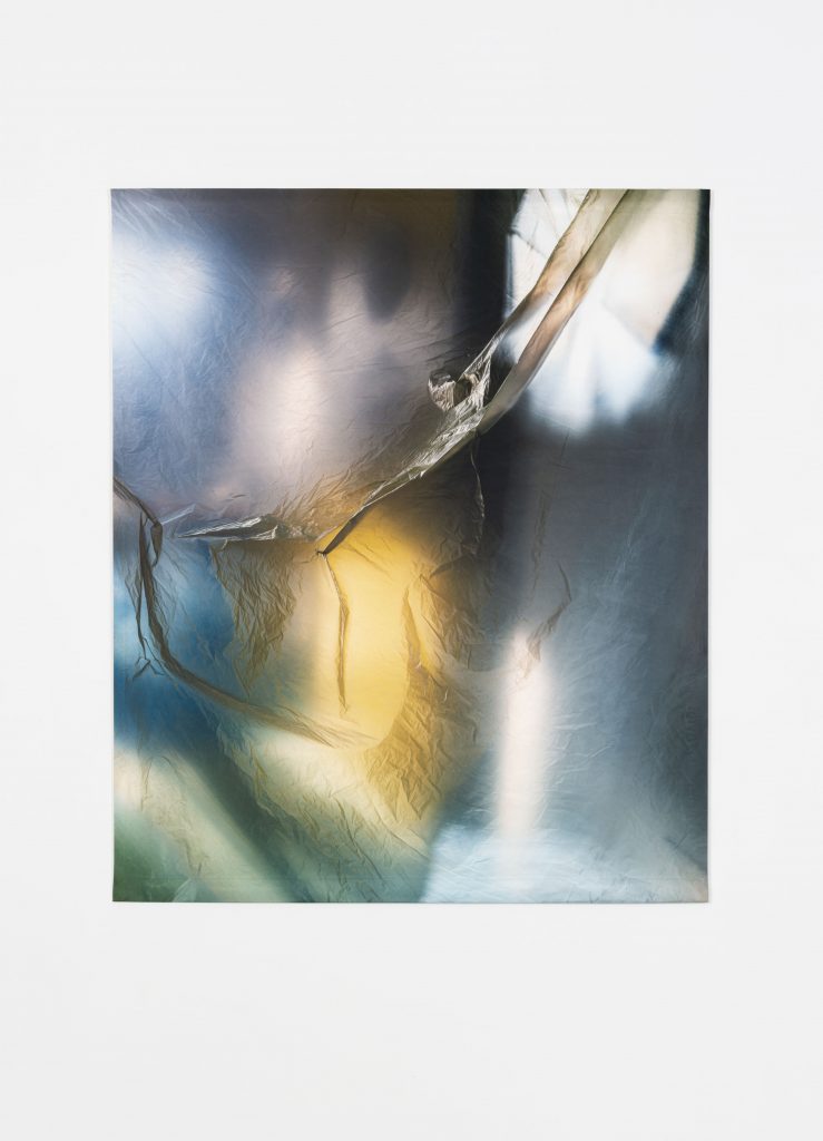 Elisa Sighicelli, <I>untitled (3420)</I>, 2020
</br>
photograph printed on satin, 139 x 117 cm / 54.7 x 46.1 in