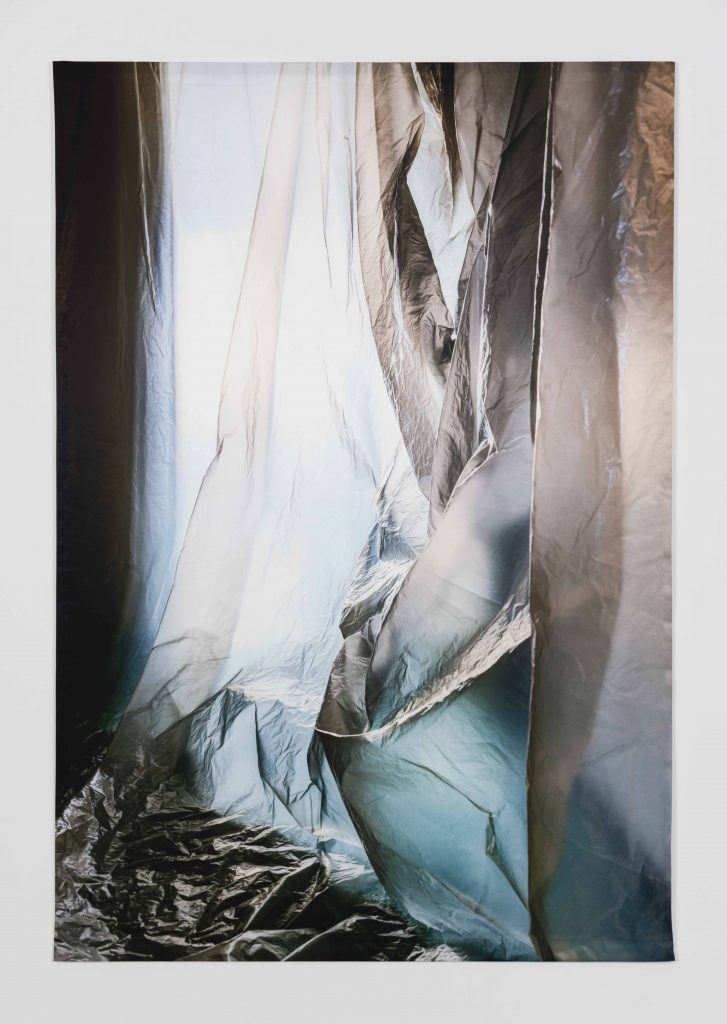 Elisa Sighicelli, <I>untitled (3508)</I>, 2020
</br>
photograph printed on satin, 199 x 137 cm / 78.3 x 53.9 in