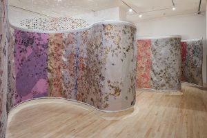 <I>beta space: pae white</i>, 2019
</br> installation view, San José Museum of Art