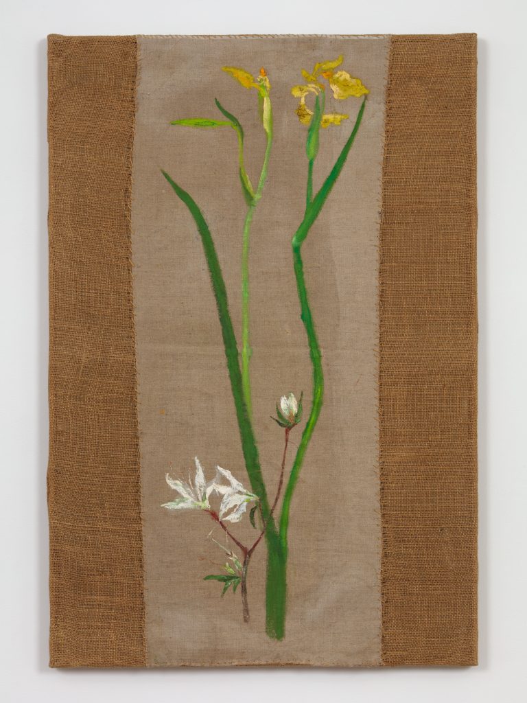 <I>Lirio (Lily)</I>, 2005
</br>
oil on burlap</br>
89,9 x 61 x 2,5 cm / 35.3 x 24 x 1 in
