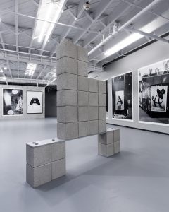 <I>A Public Character</i>, 2015
</br> installation view, Institute of Contemporary Art (ICA), Miami