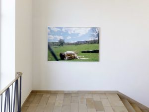 <I>Showcaller</i>, 2018
</br> installation view, Kölnischer Kunstverein, Köln