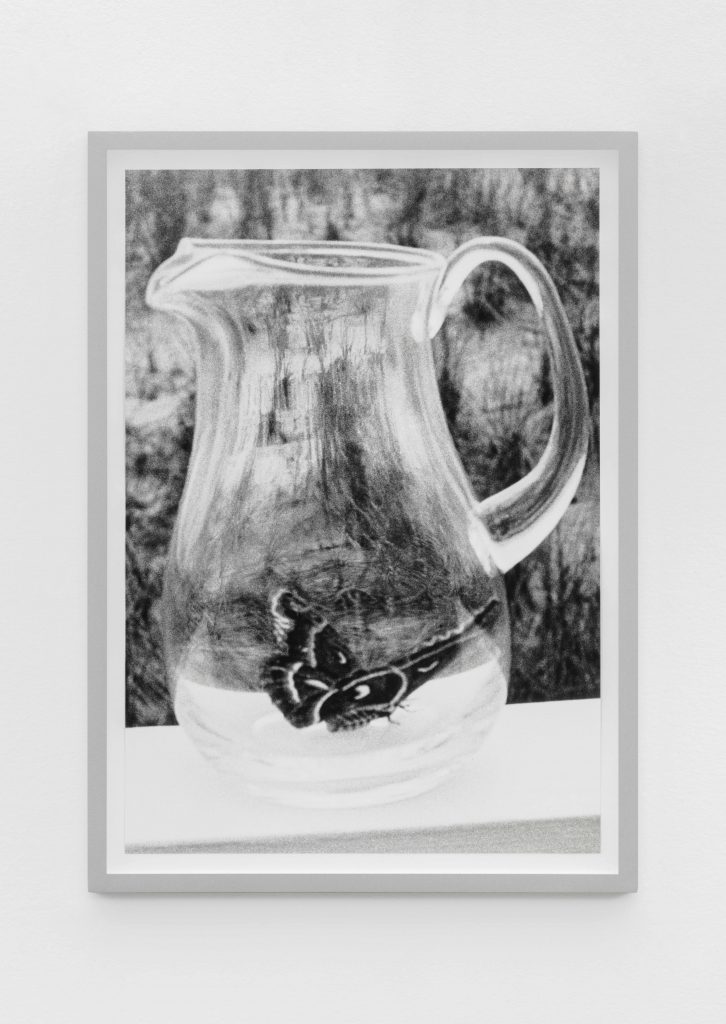 Talia Chetrit, <I>Butterfly</I>, 1995-2021
</br>
silver gelatin print</br>
62 x 45 x 4 cm / 24 x 18 x 1.5 in (framed)