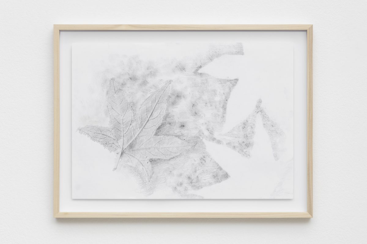 <i>Quando natura era giovane</br>
[When nature was young]</I>, 2022
</br>
graphite and pastel on paper</br>
36,5 x 49 x 4 cm / 14.3 x 19.2 x 1.5 in (framed)>