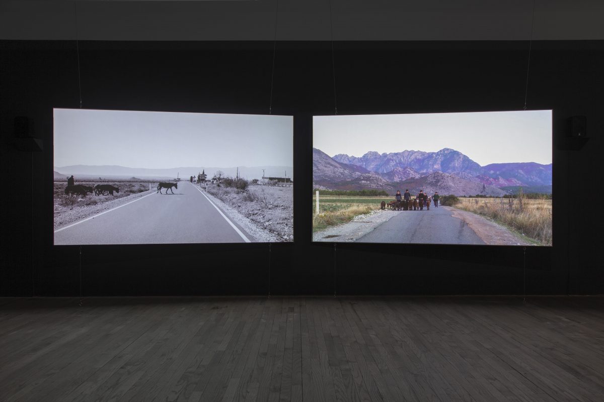 <i>the wanderers</i>, 2021
</br>2 channel video installation</br>
left channel 34'40'', right channel 8'40''