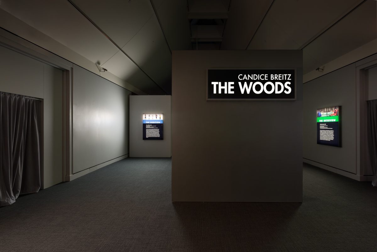 <i>The Woods</i>, 2014
</br> installation view, Peabody Essex Museum, Salem