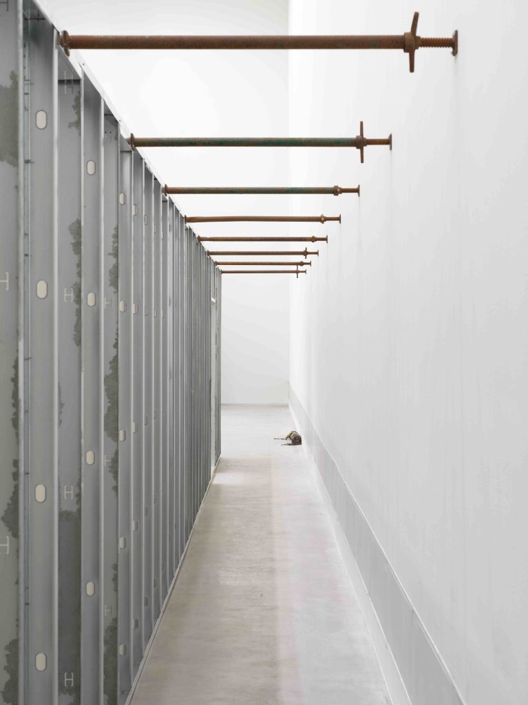 <i>tectonic tender</i>, 2022 </br> installation berlinische galerie, Berlin