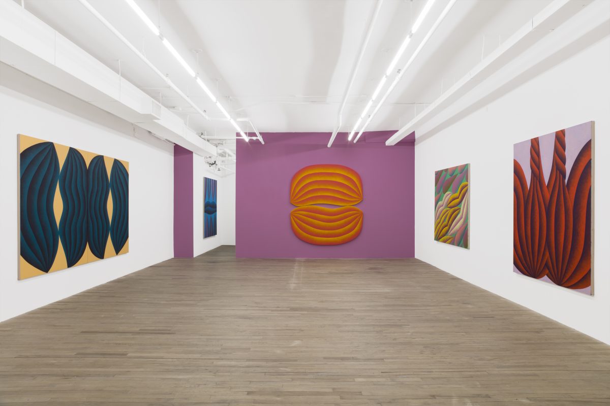 <i>tenderize</i>, 2023 </br> installation view, kaufmann repetto, new york>