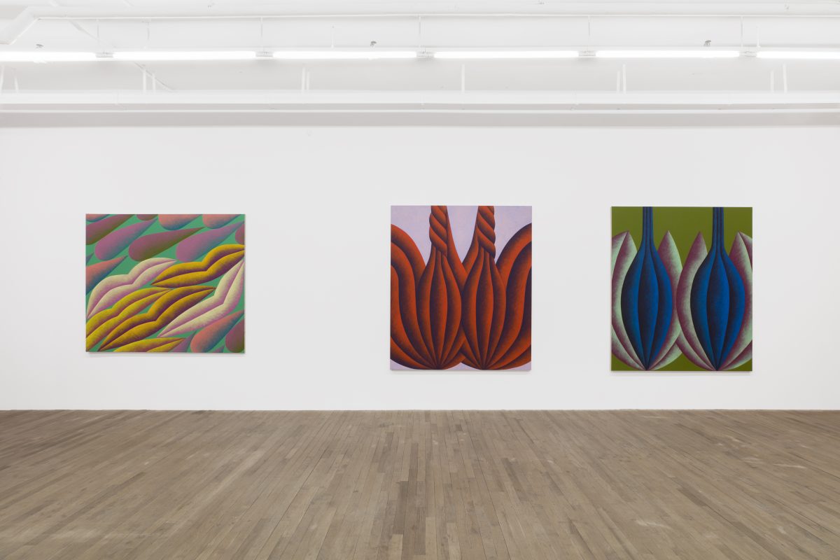 <i>tenderize</i>, 2023 </br> installation view, kaufmann repetto, new york