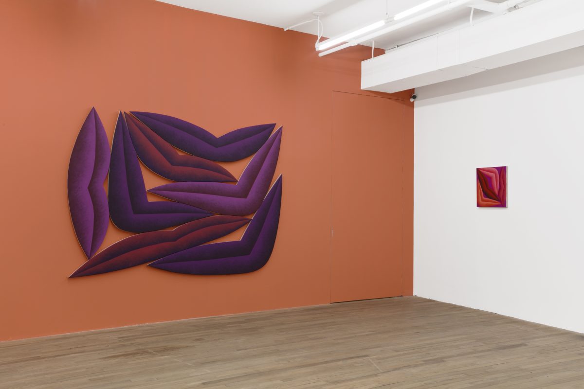 <i>tenderize</i>, 2023 </br> installation view, kaufmann repetto, new york>