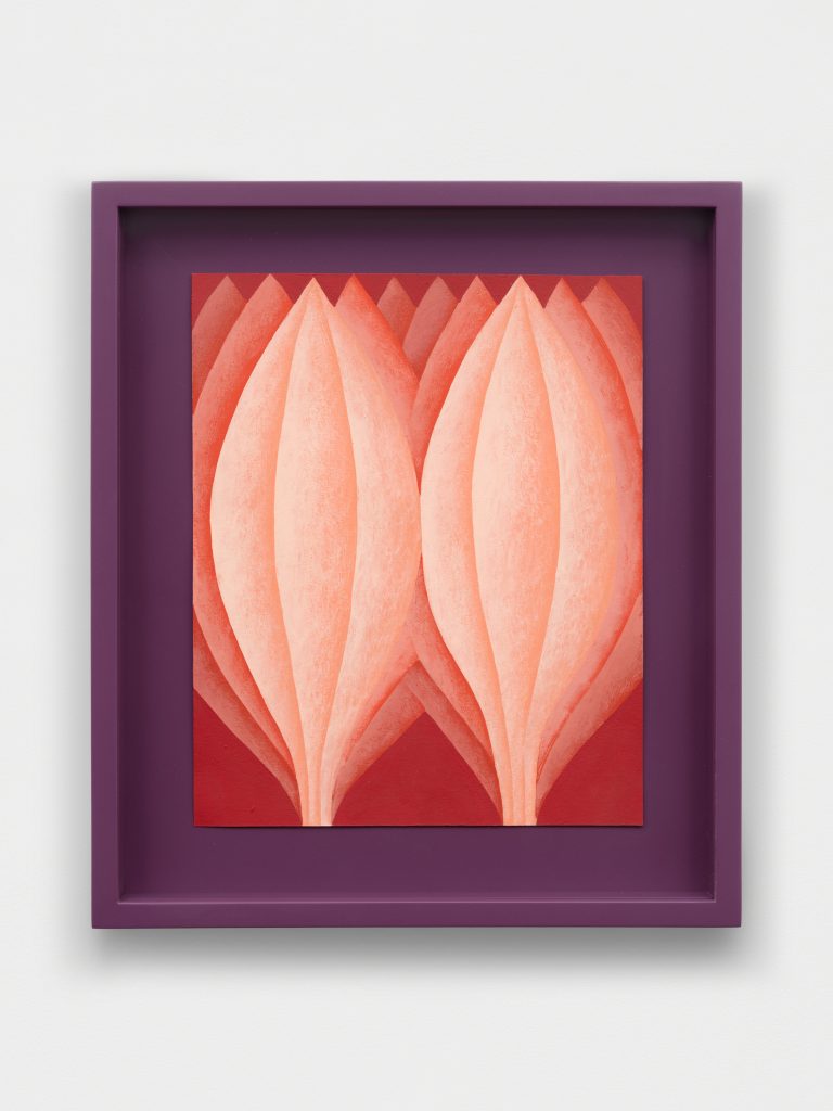 <i>Cocoons (Reds)</I>, 2025</br>acrylic on paper</br>
37 x 32 x 4 cm / 14.6 x 12.6 x 1.6 in>