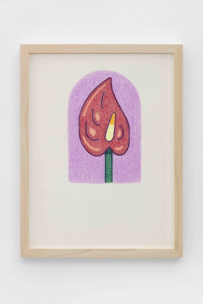 Dianna Molzan, <i>Anthurium</i>, 2023 </br> colored pencil on paper
</br> 30 x 21 cm / 11.75 x 8.25 in