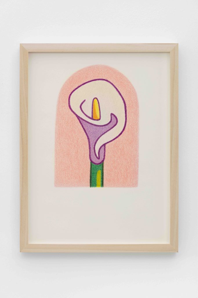 Dianna Molzan, <i>Lily</i>, 2023 </br> colored pencil on paper
</br> 30 x 21 cm / 11.75 x 8.25 in