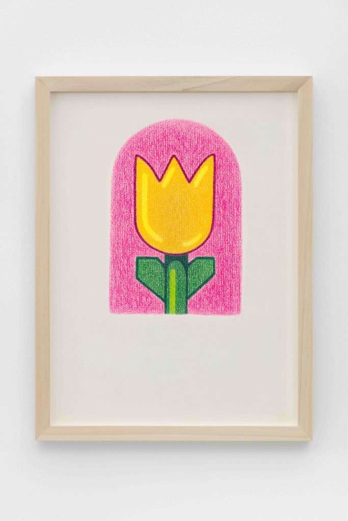 Dianna Molzan, <i>Tulip</i>, 2023 </br> colored pencil on paper
</br> 30 x 21 cm / 11.75 x 8.25 in