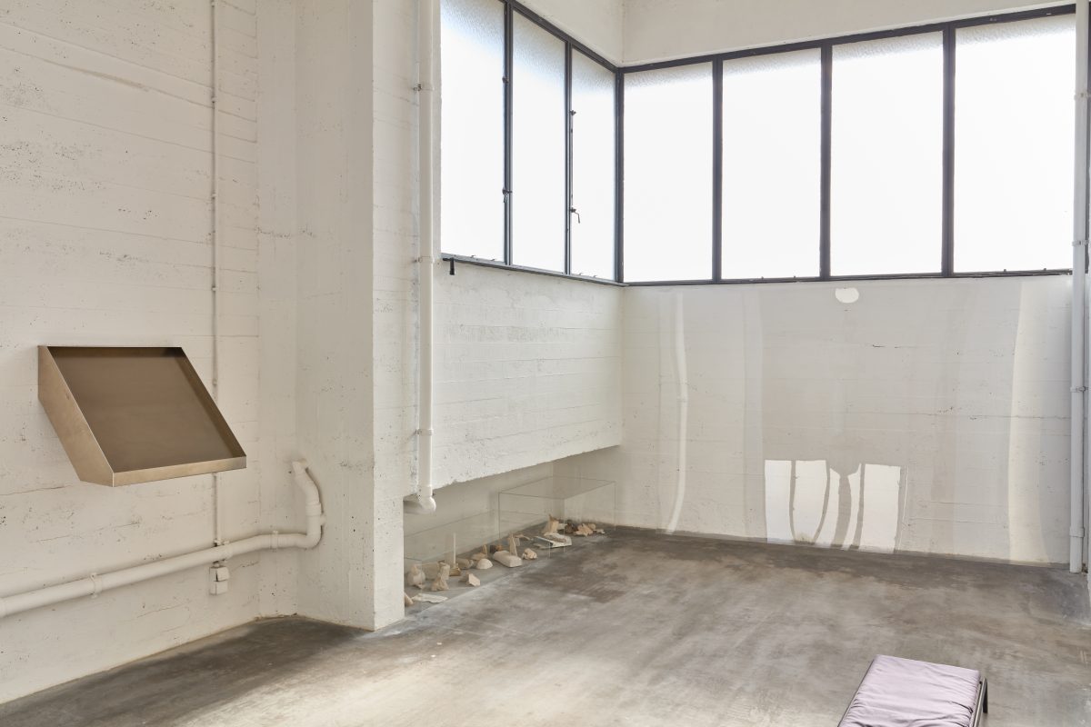 <i>the ceiling of a courtyard</i>, 2023 </br> installation view, WIELS, Brussels>