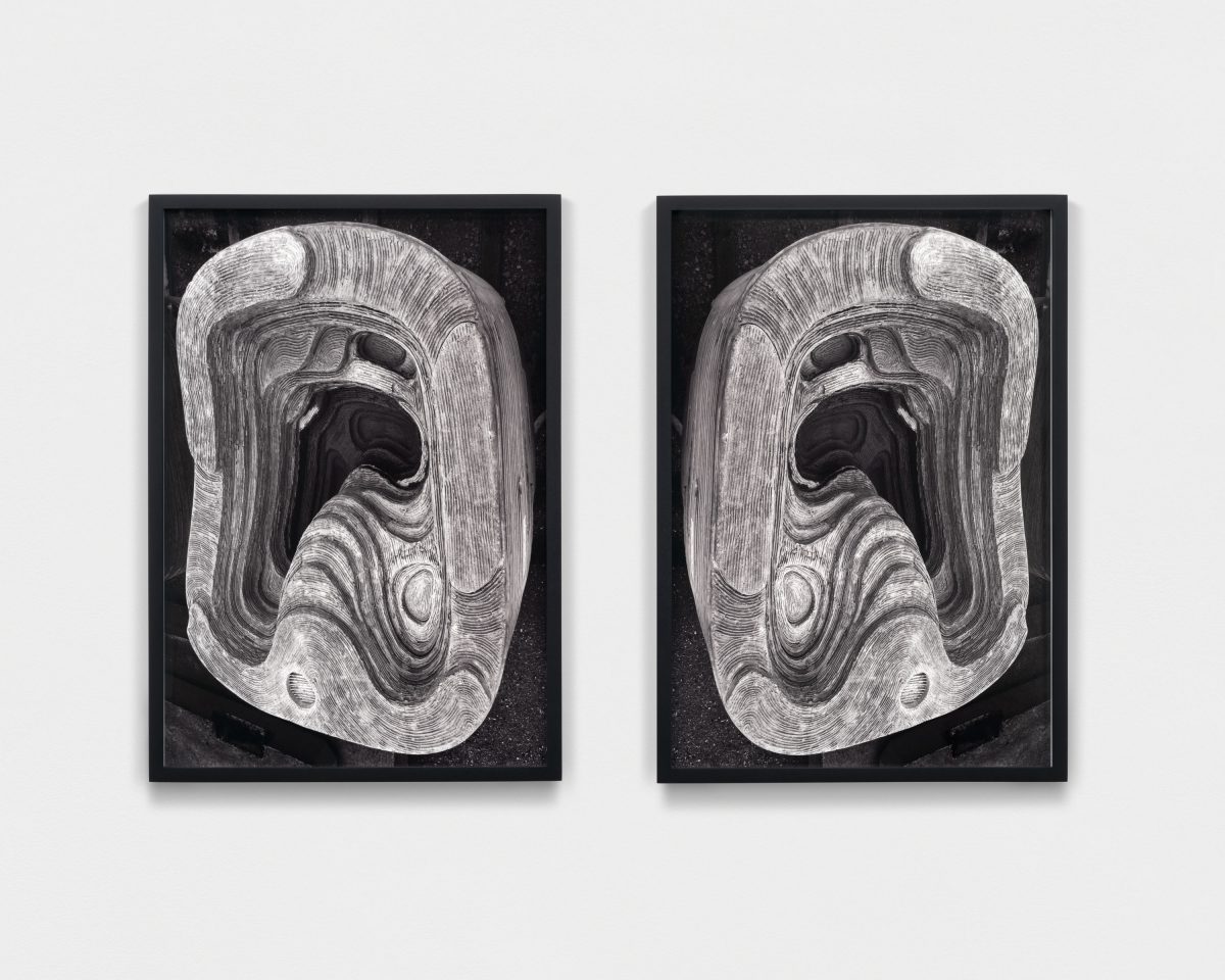 <i>Subtidal Ears</i>, 2023-2025 </br>
archival pigment print</br>
47,2 x 33,3 / 18.6 x 13.1 in (each)