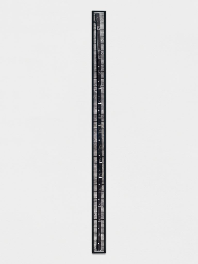 <i>Sine Wave Instrument</i>, 2022-2025</br>
archival pigment print</br>
281,9 x 15,9 cm / 111 x 6.3 in>