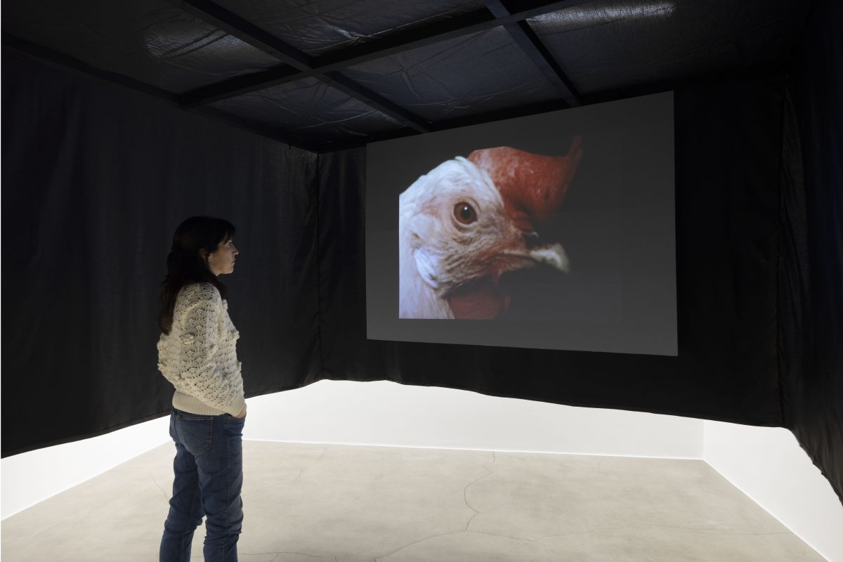 <i>flying cinema,</i> 2025 </br>
installation view, kaufmann repetto, milan</br>