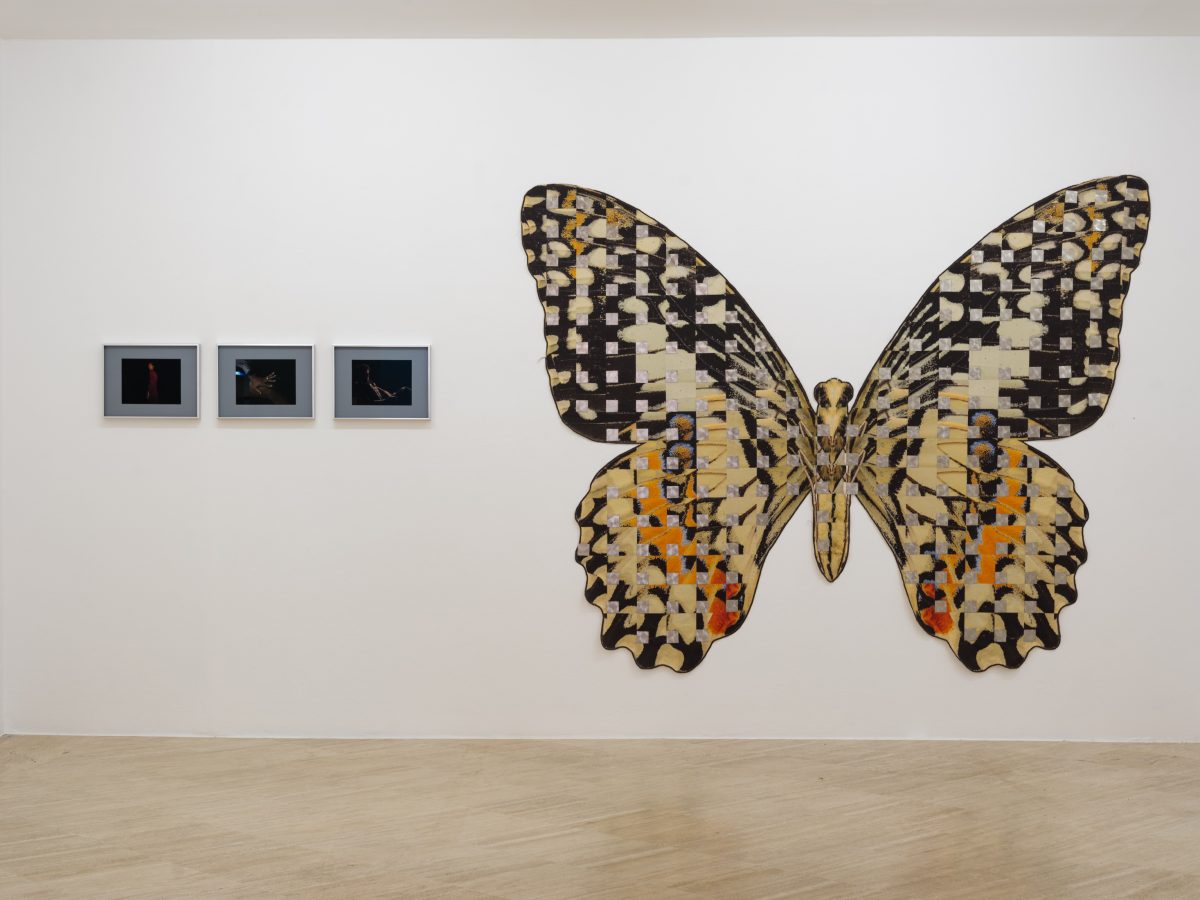 <i>Soft You</I>, 2025</br>
installation view, Fondazione Memmo, Rome</br>