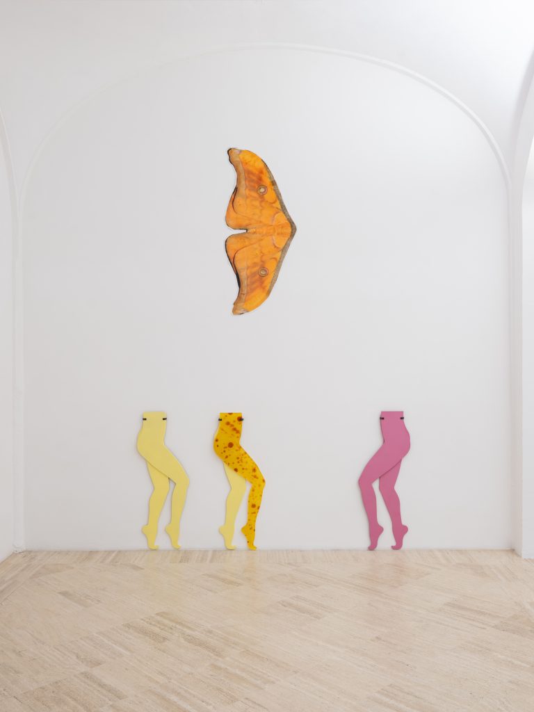 <i>Soft You</I>, 2025</br>
installation view, Fondazione Memmo, Rome</br>