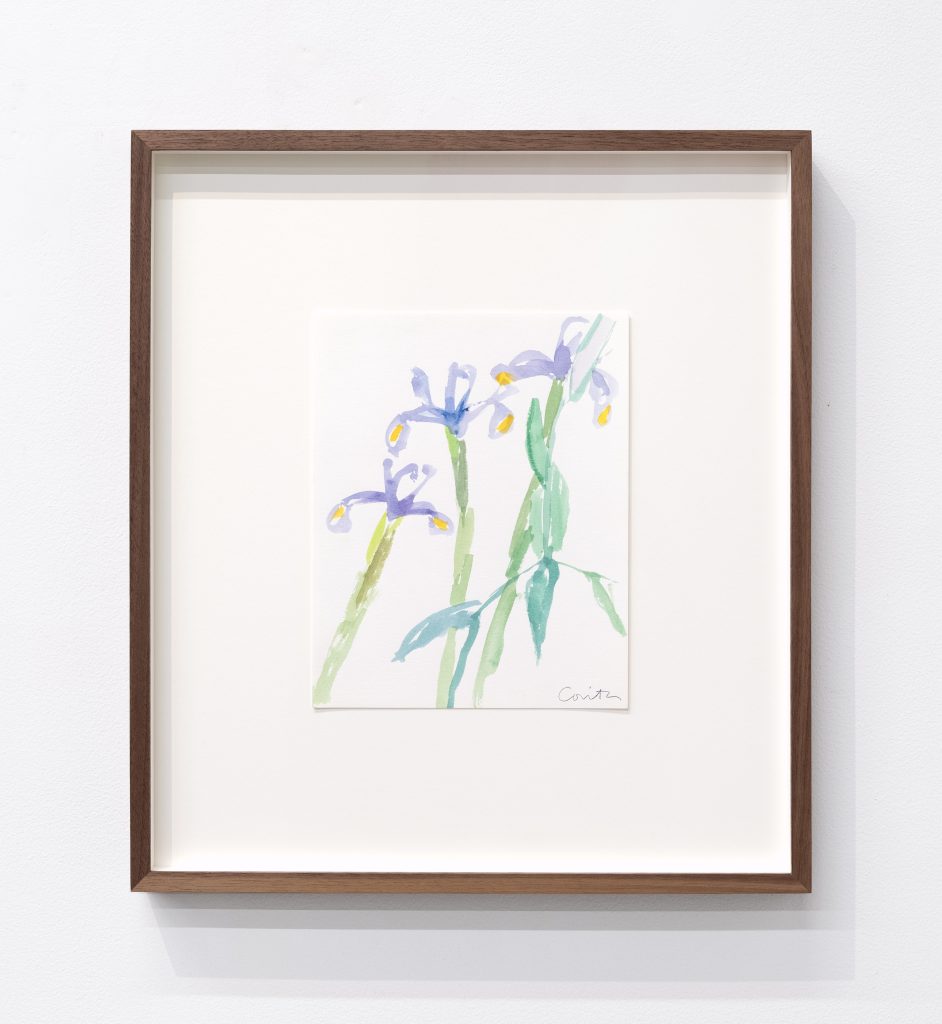 <i>untitled</i>, 1984 </br>
Watercolor on paper</br>
48,3 x 43,2 x 3,8 cm / 19 x 17
x 1.5 in