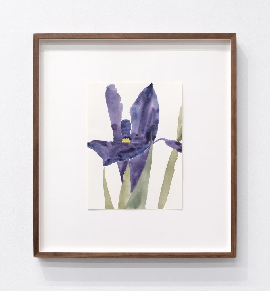 <i>untitled</i>, 1984 </br>
Watercolor on paper</br>
53,3 x 48,3 x 3,8 cm / 21 x 19
x 1.5 in