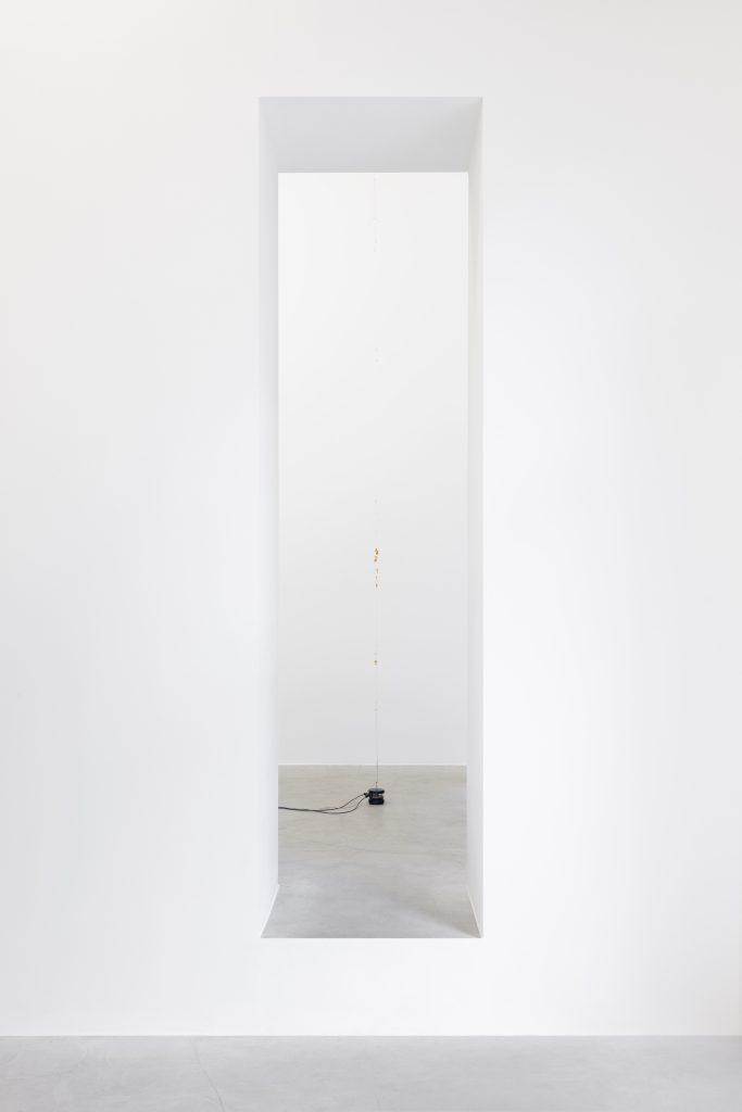 <i> Pistachio Pangolin on the Continuous Fingernail Transmitter,</i> 2020 </br>
string, pistachio shells, fake fingernails, vibration generator, frequency generators, cables</br> 
variable height, dimensions variable
