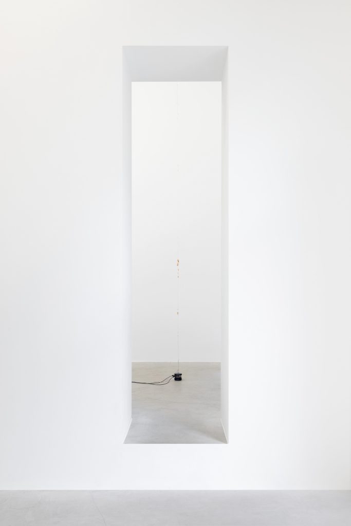 <i> Pistachio Pangolin on the Continuous Fingernail Transmitter,</i> 2020 </br>
string, pistachio shells, fake fingernails, vibration generator, frequency generators, cables</br> 
variable height, dimensions variable