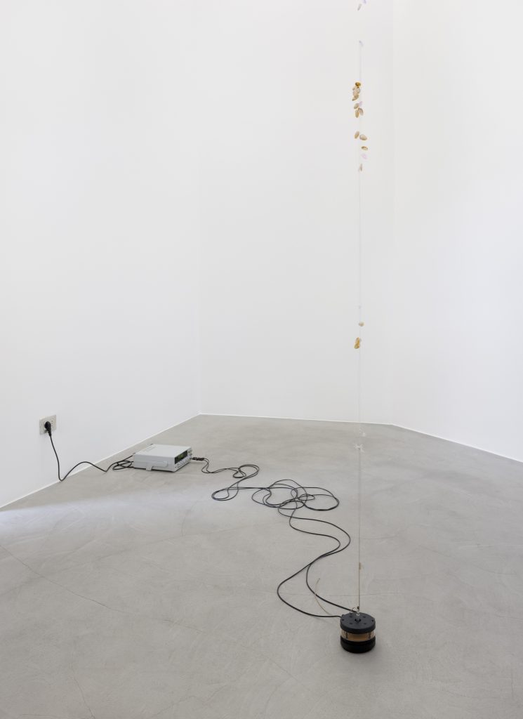 <i> Pistachio Pangolin on the Continuous Fingernail Transmitter,</i> 2020 </br>
string, pistachio shells, fake fingernails, vibration generator, frequency generators, cables</br> 
variable height, dimensions variable