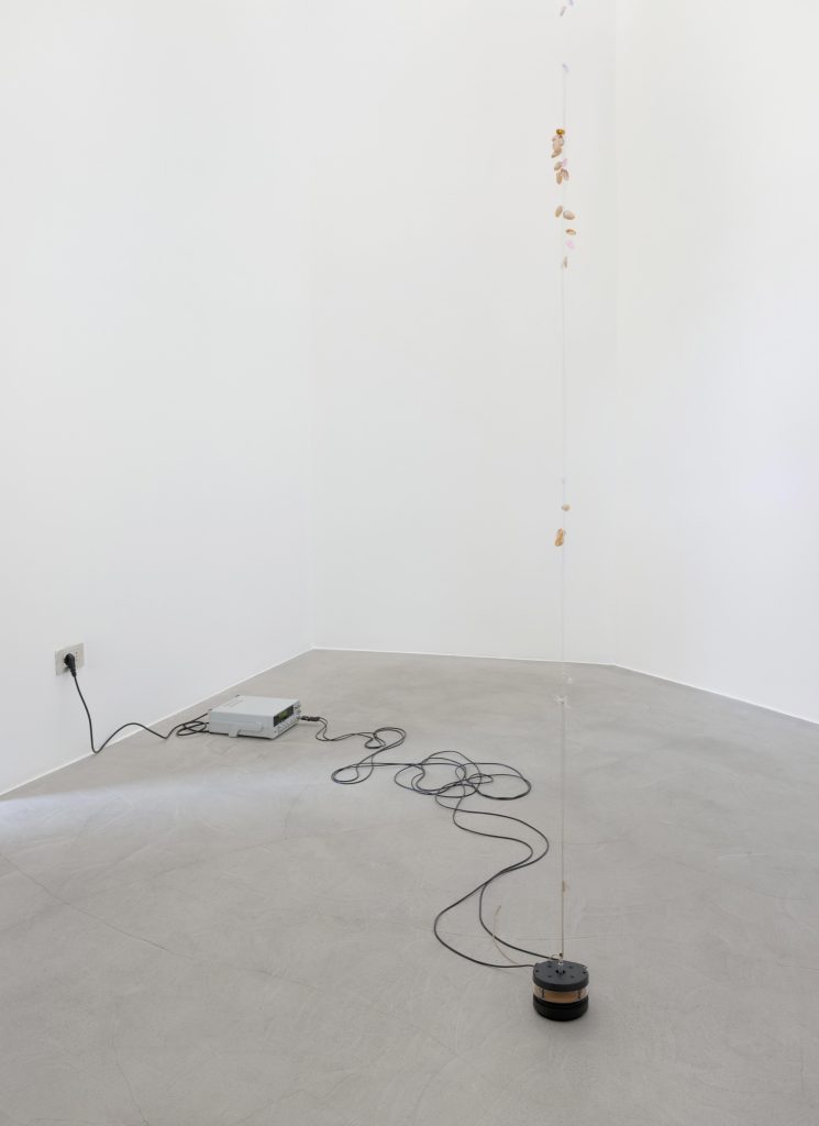 <i> Pistachio Pangolin on the Continuous Fingernail Transmitter,</i> 2020 </br>
string, pistachio shells, fake fingernails, vibration generator, frequency generators, cables</br> 
variable height, dimensions variable