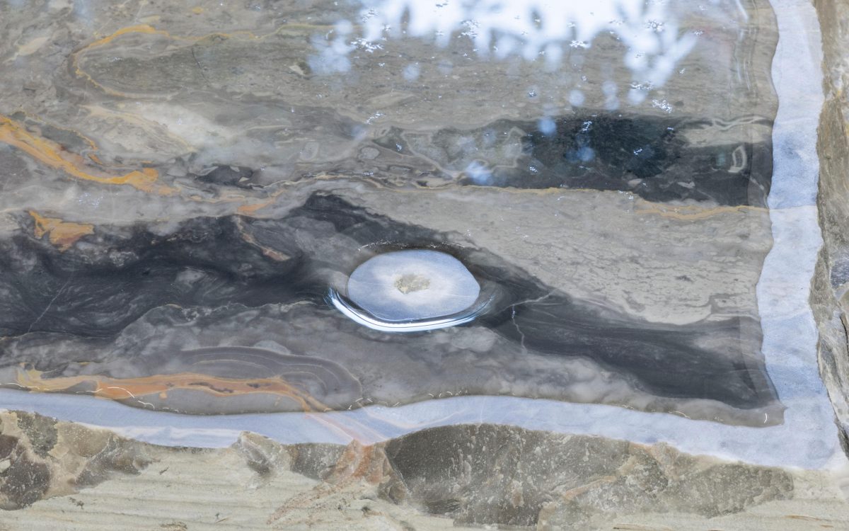 <i>Days of Inertia,</i> 2025 </br>
(detail)