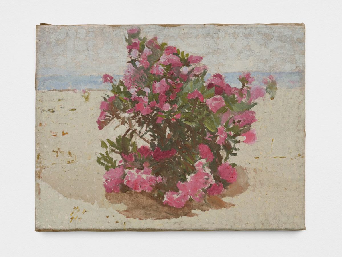 <i>Oleander Bush,</i> 1993</br>
oil on canvas </br> 35,5 x 46 x 2 cm / 14 x 18.1 x 0.8 in