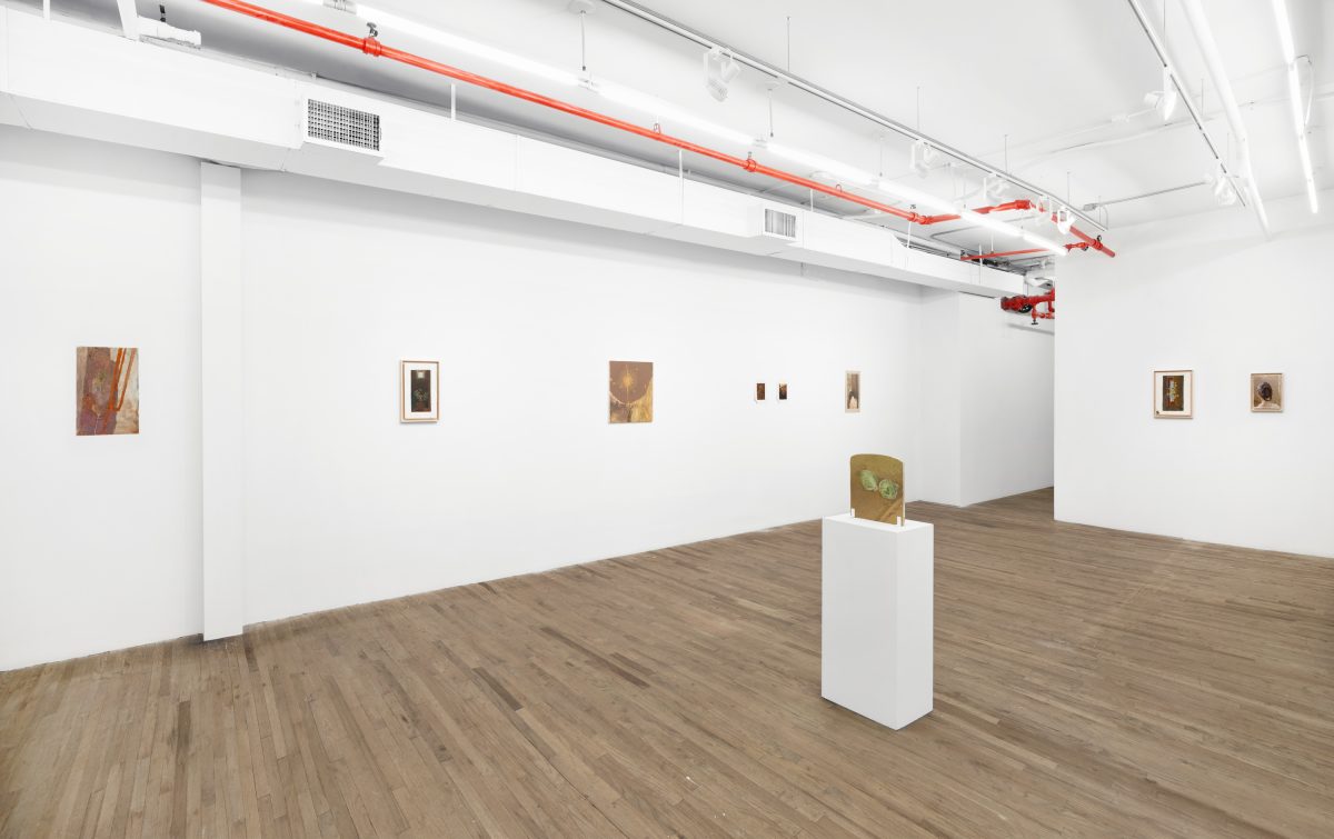 <i>Now,</i> 2025 </br>
installation view, kaufmann repetto, New York</br>