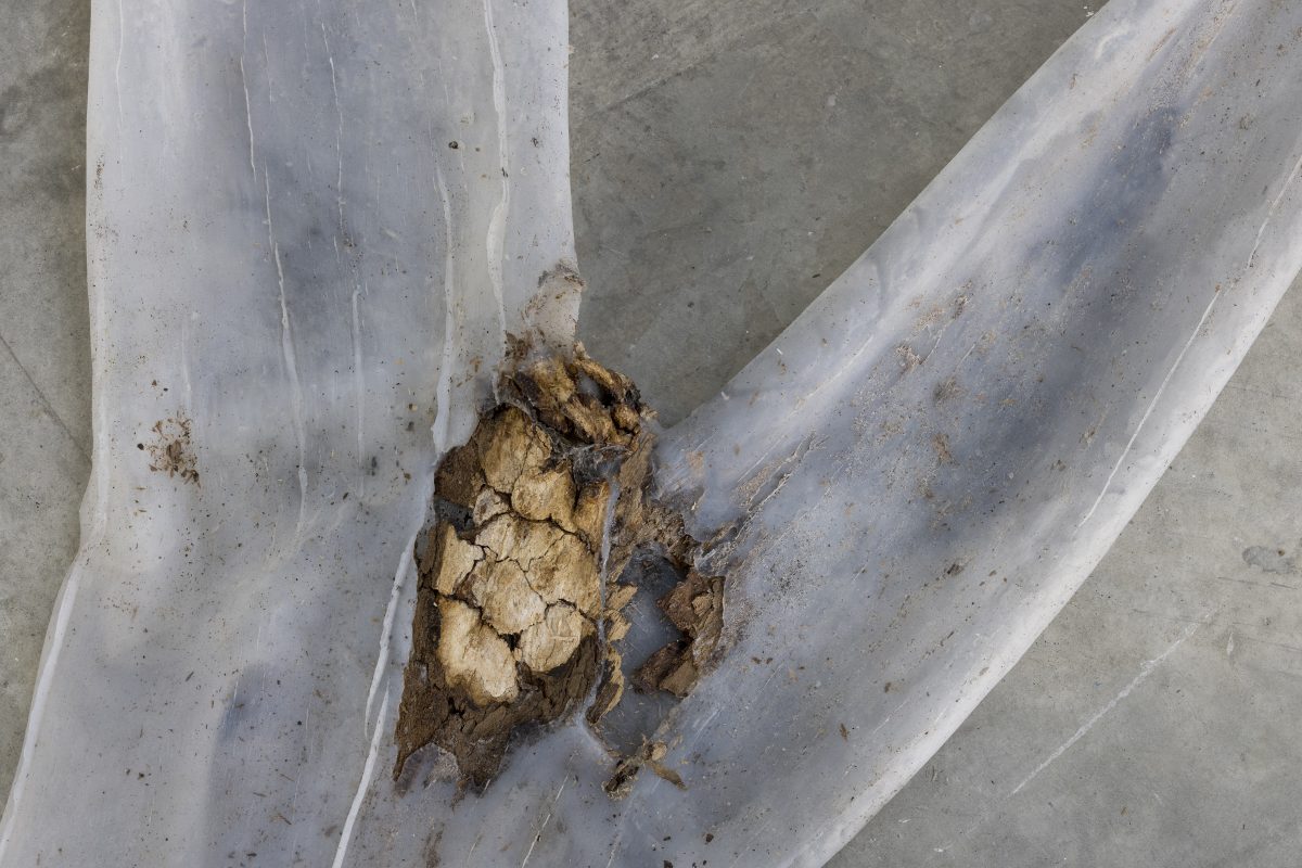 <i>Circumnavigation Towards Exhaustion</i>, 2021
</br> installation view, Kunsthalle Mulhouse, Mulhouse