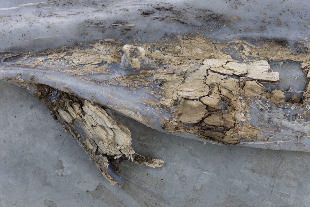 <i>Circumnavigation Towards Exhaustion</i>, 2021
</br> installation view, Kunsthalle Mulhouse, Mulhouse