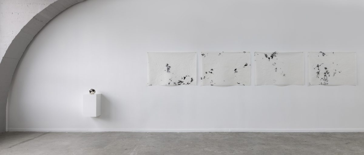 <i>Circumnavigation Towards Exhaustion</i>, 2021
</br> installation view, Kunsthalle Mulhouse, Mulhouse>