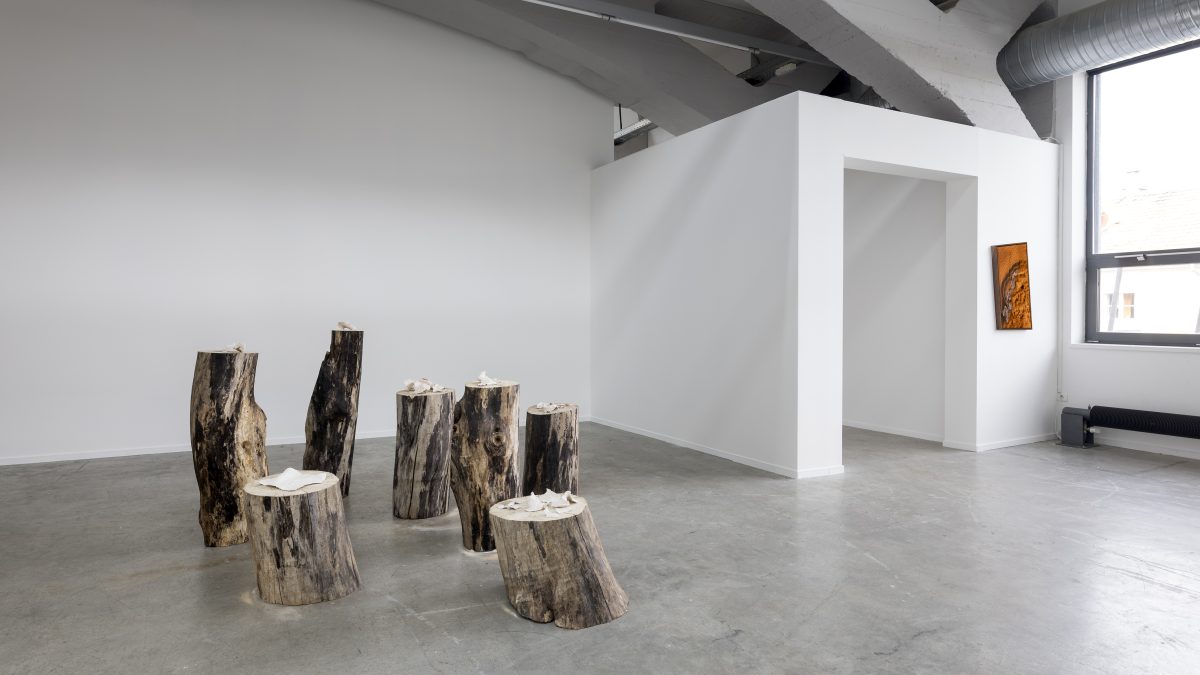 <i>Circumnavigation Towards Exhaustion</i>, 2021
</br> installation view, Kunsthalle Mulhouse, Mulhouse>