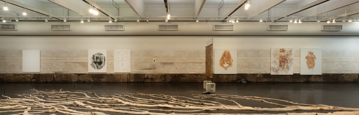 <i>Clarissa Tossin: Point of No Return</i>, 2025
</br> installation view, MASP - Museum of Art of São Paulo, São Paulo